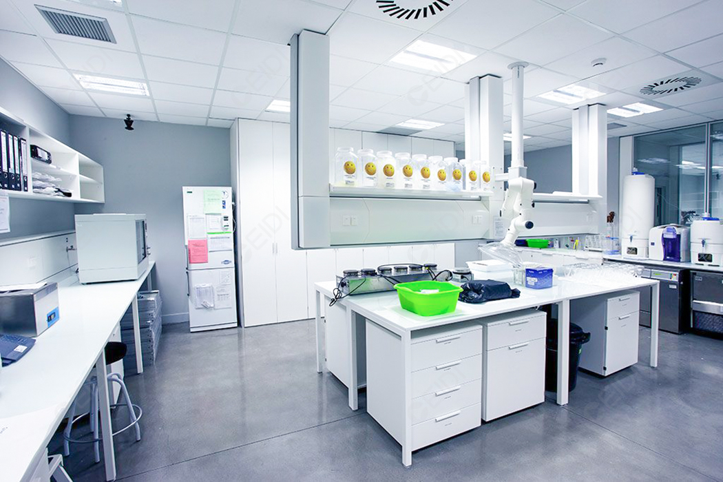 實驗室建設要找什么公司?設計效果圖要看嗎?